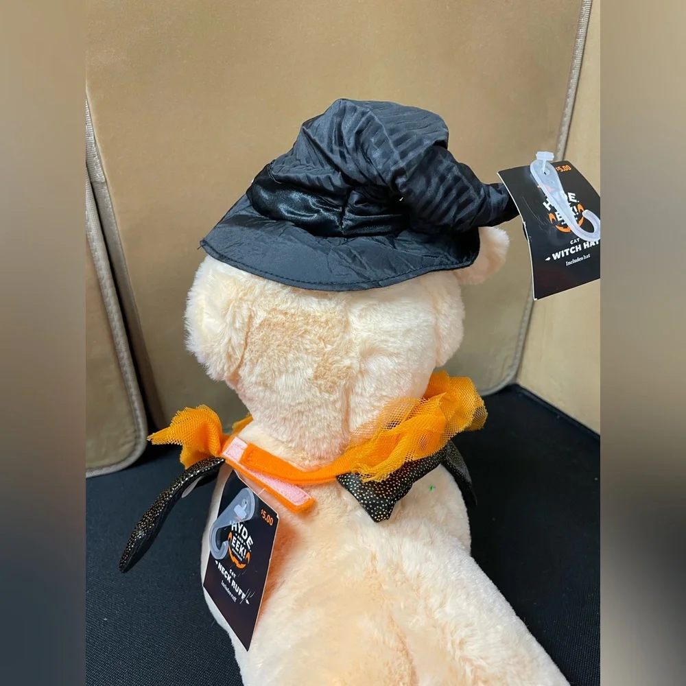 Dog outfit Witches hat, and cat ruff